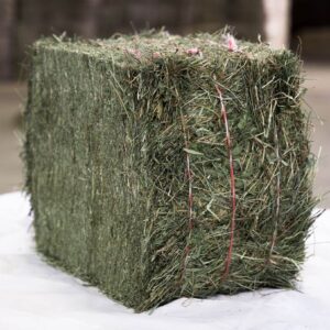 Heu aus Crau 2. Schnitt - Palette von 750 kg