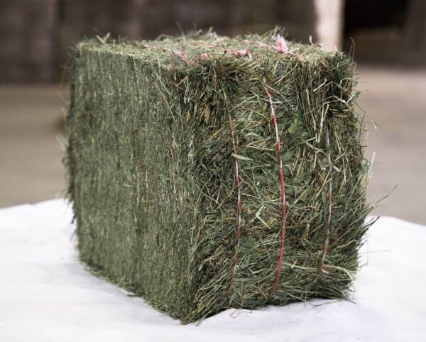 Heu aus Crau 2. Schnitt - Palette von 750 kg