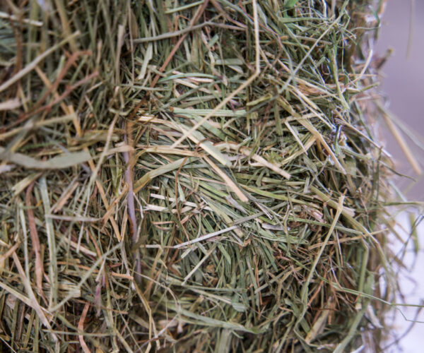 Wiesenheu - Palette von 750 kg – Bild 3