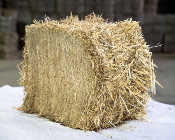 Weizenstroh - Palette à 750 kg