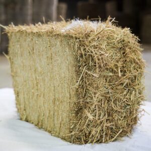 Reisstroh - Palette à 750 kg
