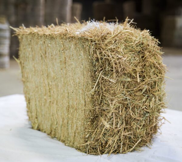 Reisstroh - Palette à 750 kg