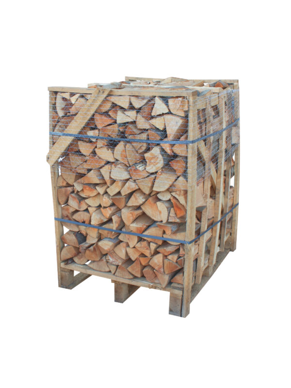 Brennholz Buche in 1RM-Palette trocken 25 cm